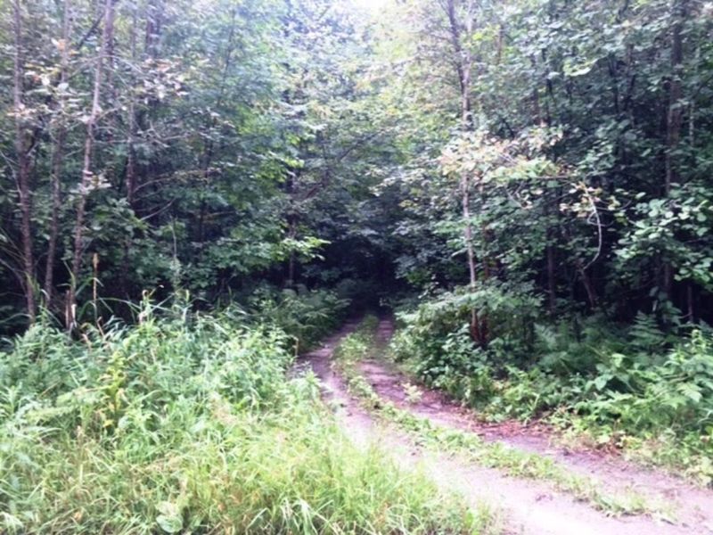 TBD Wausota, Squaw Lake, MN 56681
