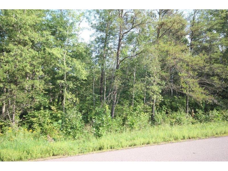 XXX Bigwater Dr, Pillager, MN 56473