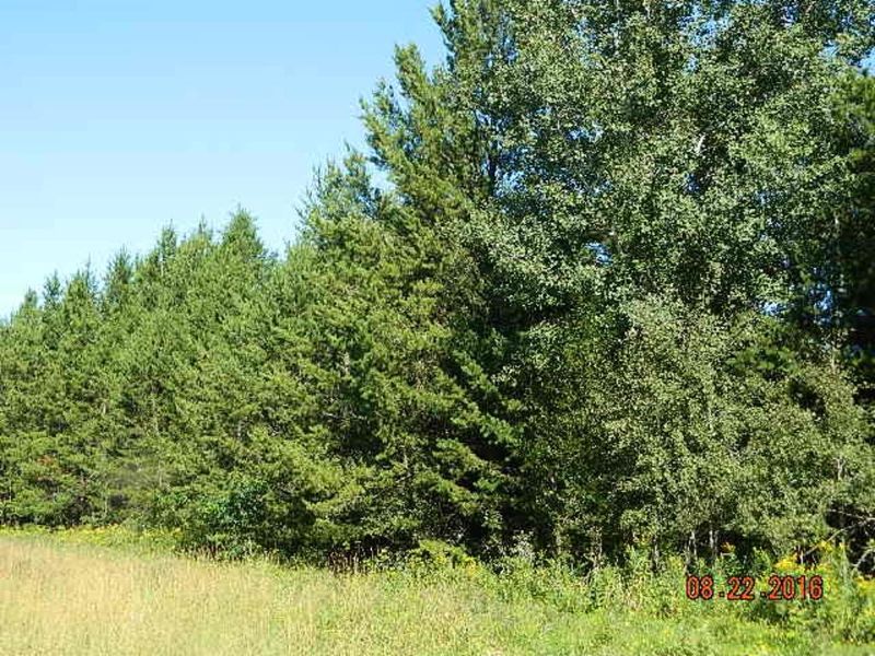 0 W Main St, Webster, WI 54893