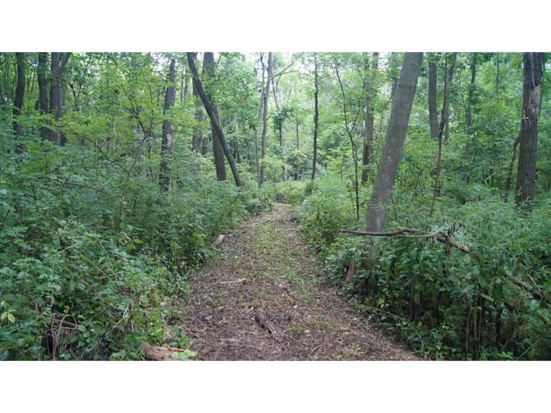 0 Anker Ln, Pepin, WI 54759