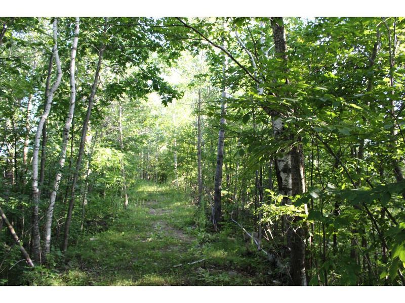 NA 185th St, Milaca, MN 56353