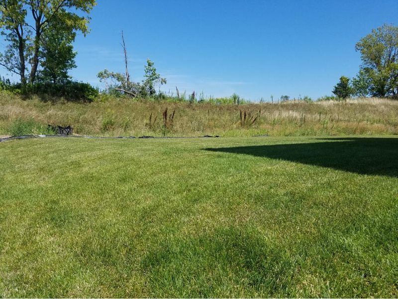 7236 Archer Trl, Inver Grove Heights, MN 55077
