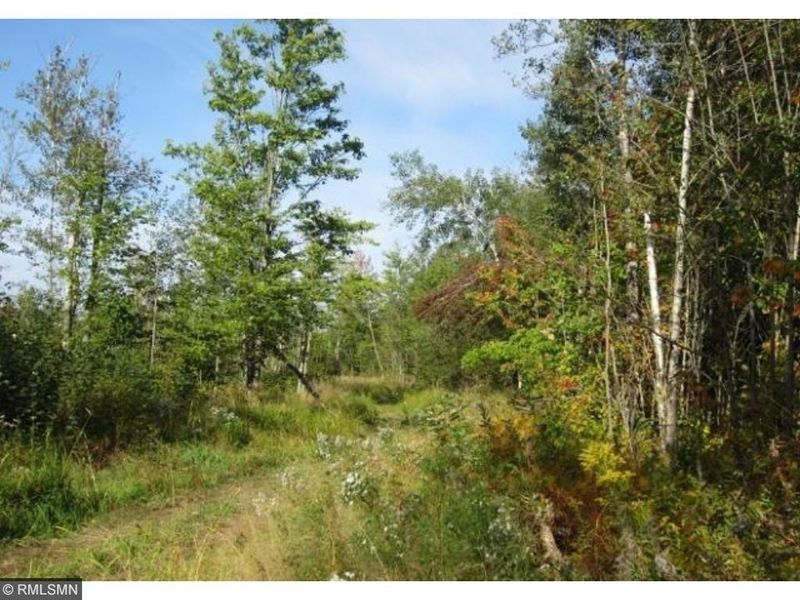 xx Balsam Rd, Wright, MN 55798