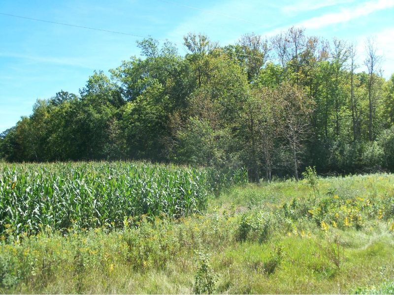 444xx Otter Tail Line Rd, Bertha, MN 56437