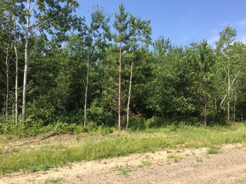 TractD W Tranquility Dr, Brainerd, MN 56401