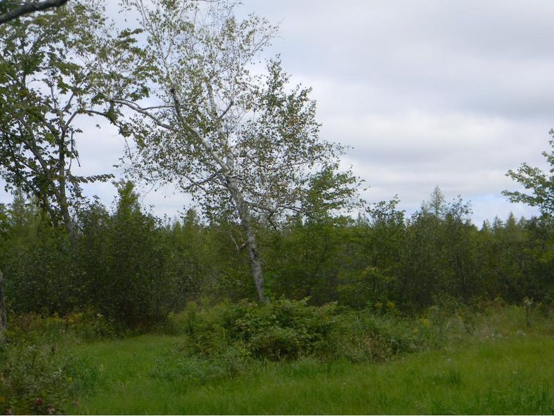 6402 Hwy X, Webster, WI 54893