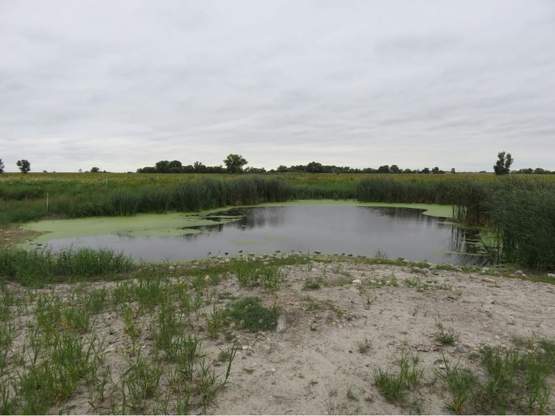 7 Highway, Ortonville, MN 56278