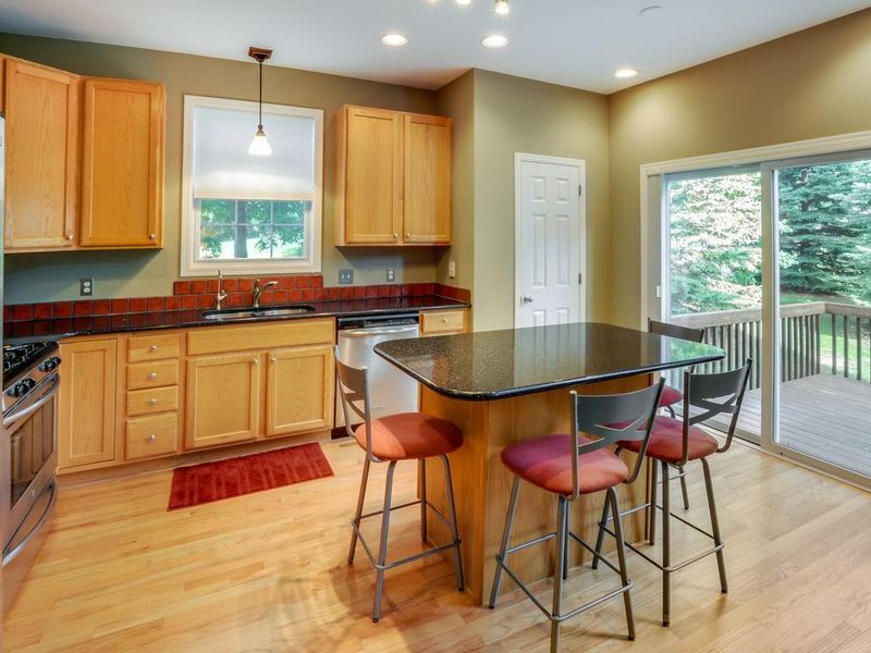 1313 White Oak Dr, Chaska, MN 55318