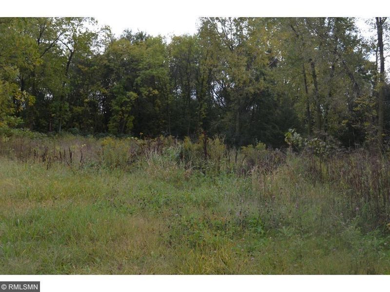 xxx Marcia St, Dassel, MN 55325