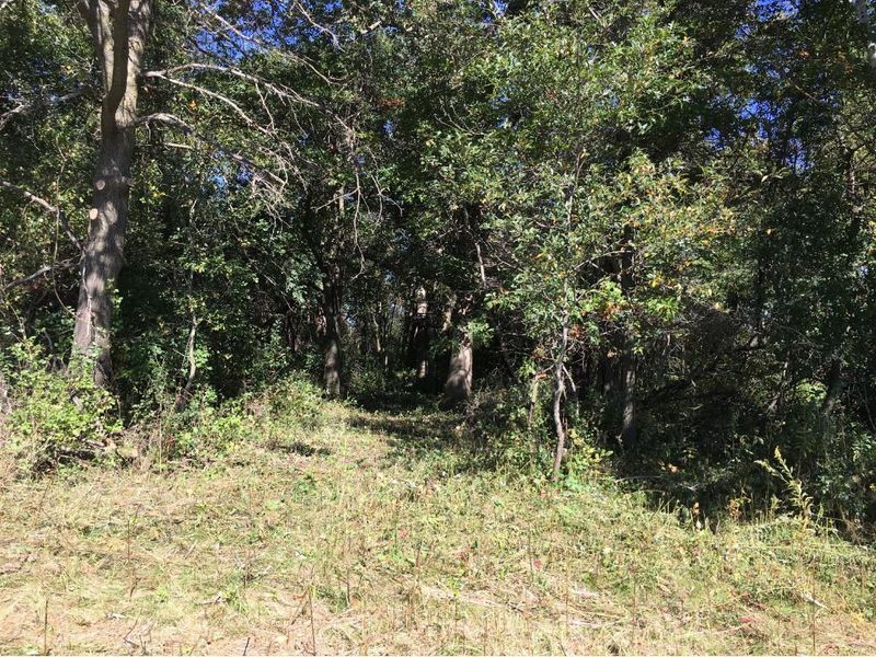 XXX 650th Ave, Dexter, MN 55926