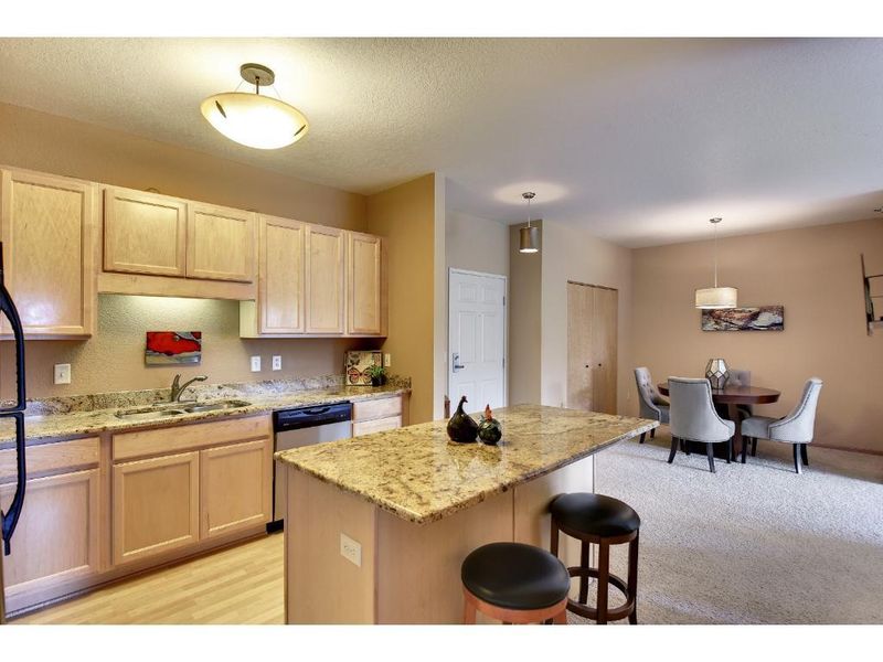 1331 Lake Dr W #A203, Chanhassen, MN 55317