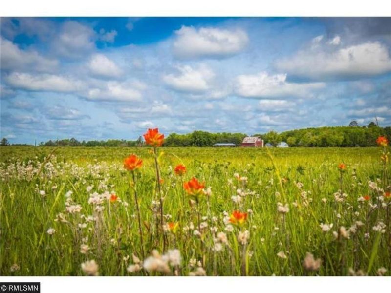 TBD Wetherell Sims Dr SW, Staples, MN 56479