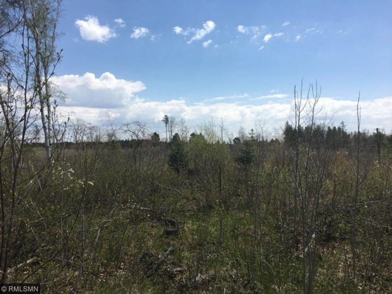 xxx 190th St, Akeley, MN 56433