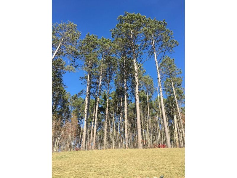 35870 River Circle Dr, Cohasset, MN 55721
