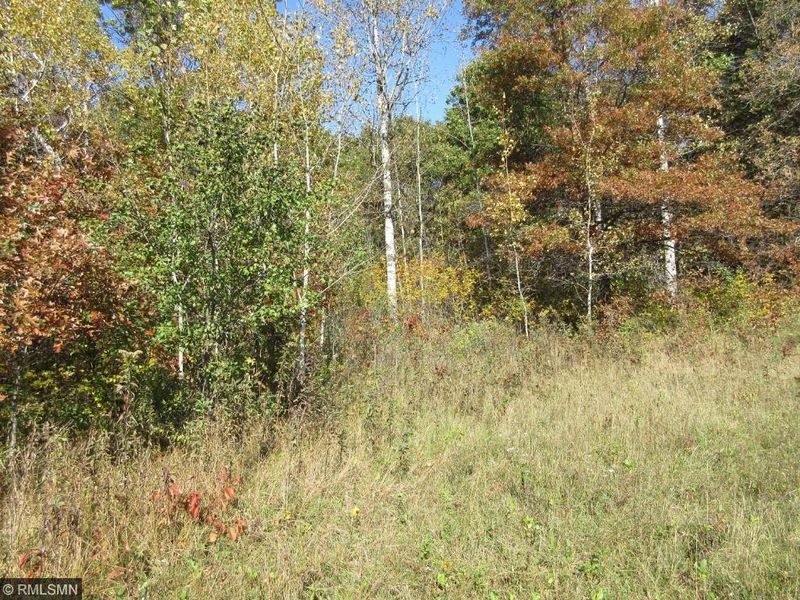 100XX Hillton Rd, Little Falls, MN 56345