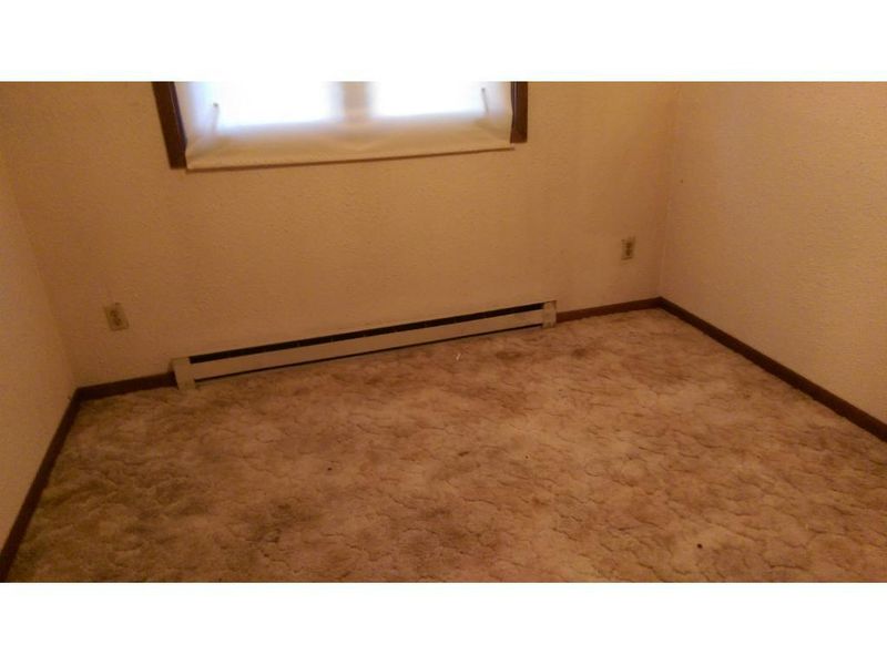 100 NE 3rd St, Hector, MN 55342