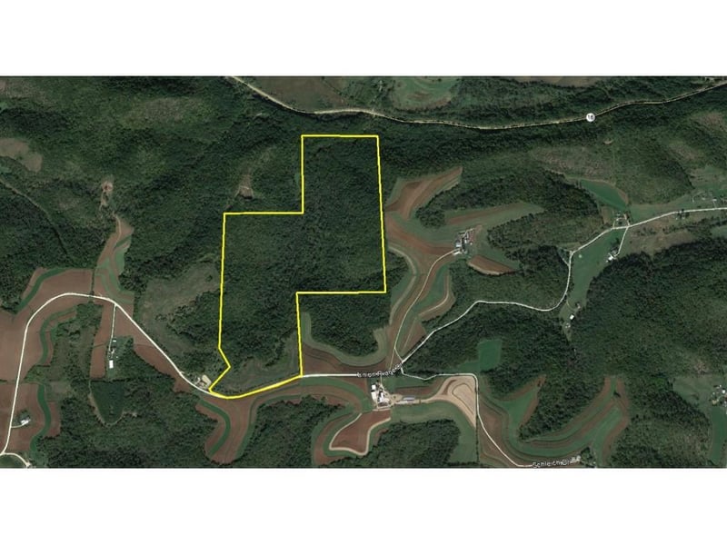 xxx Union Ridge Dr, Hokah, MN 55941