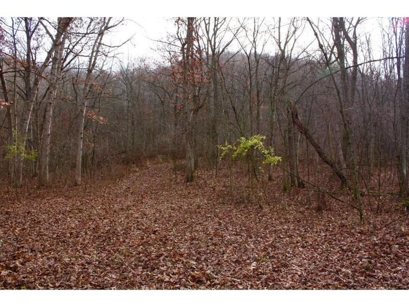 xxx Union Ridge Dr, Hokah, MN 55941