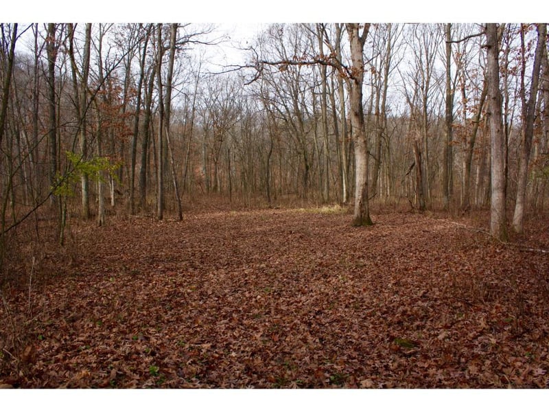 xxx Union Ridge Dr, Hokah, MN 55941