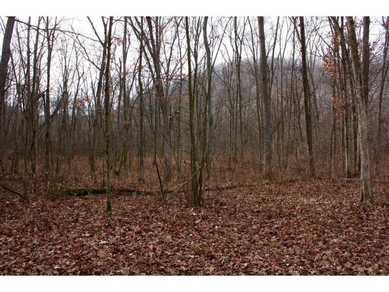 xxx Union Ridge Dr, Hokah, MN 55941