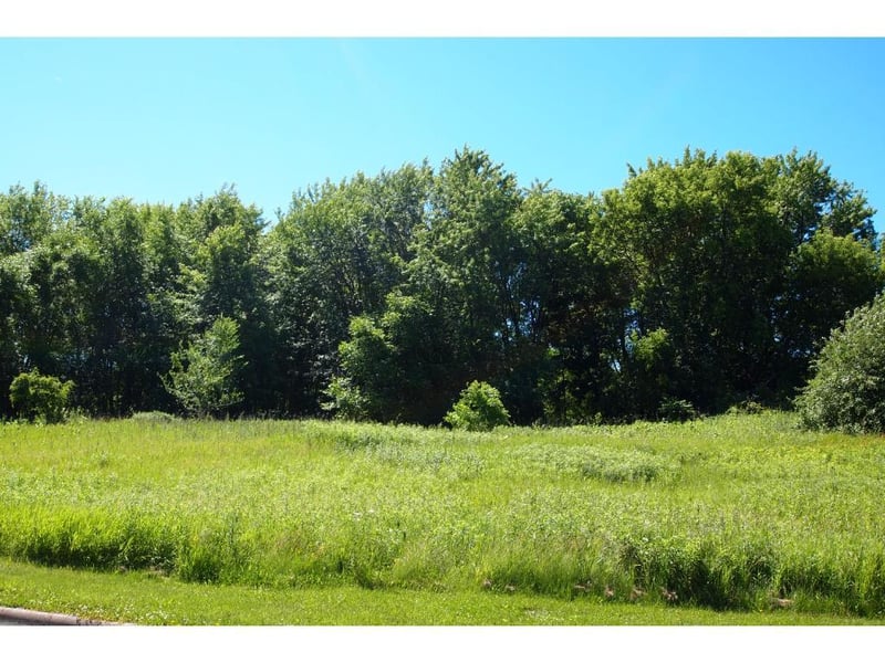 XXXX Parkshore Dr, Arden Hills, MN 55112