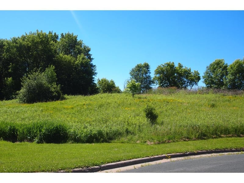XXXX Parkshore Dr, Arden Hills, MN 55112
