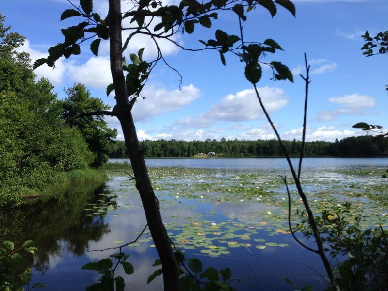 Sec11-12 Forest Road 3491, Grand Rapids, MN 55744