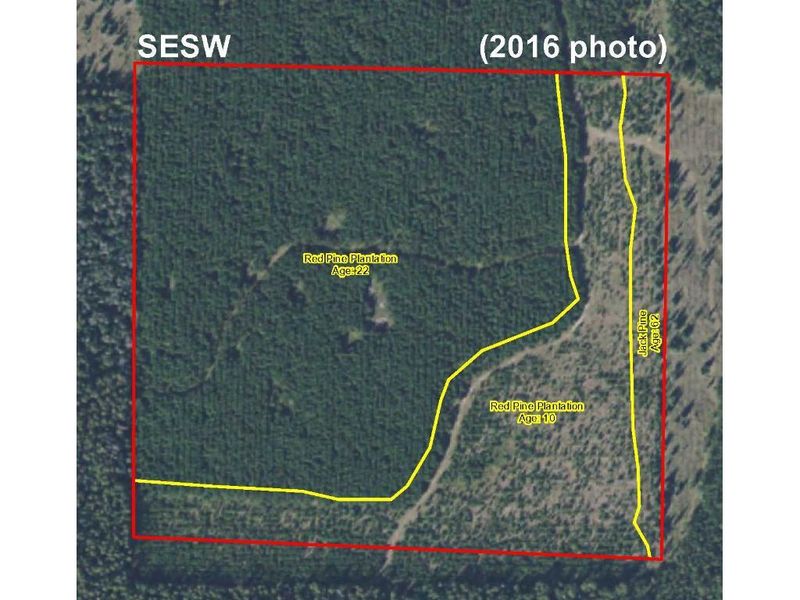 SENW-E2SW County Road 95, Lake George, MN 56458