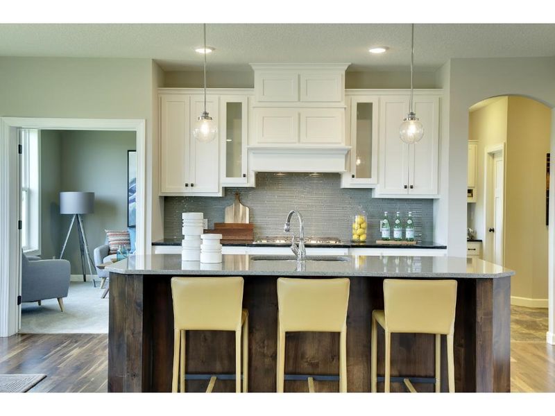 12725 Lake Vista Ln, Champlin, MN 55316