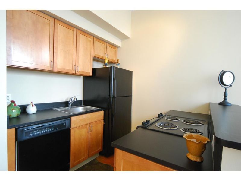 488 Wabasha St N #507, Saint Paul, MN 55102