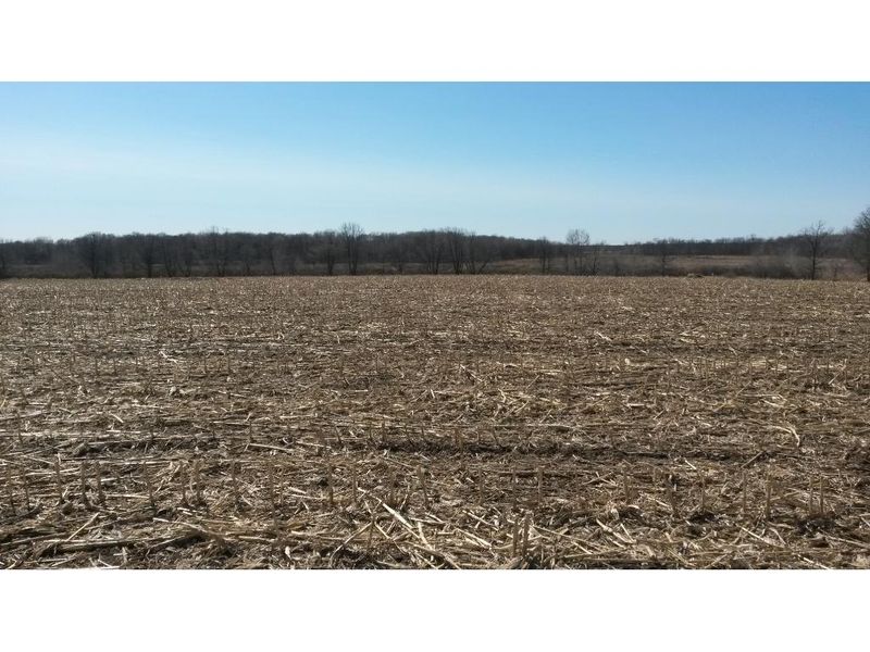 XXXX 360th Ave, Hillman, MN 56338