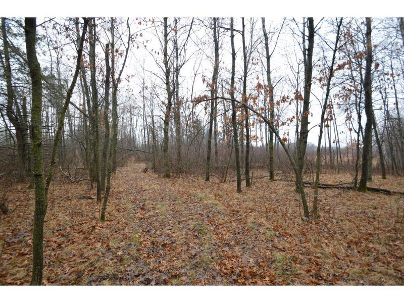 L11 B1 180th St SE, Big Lake, MN 55309