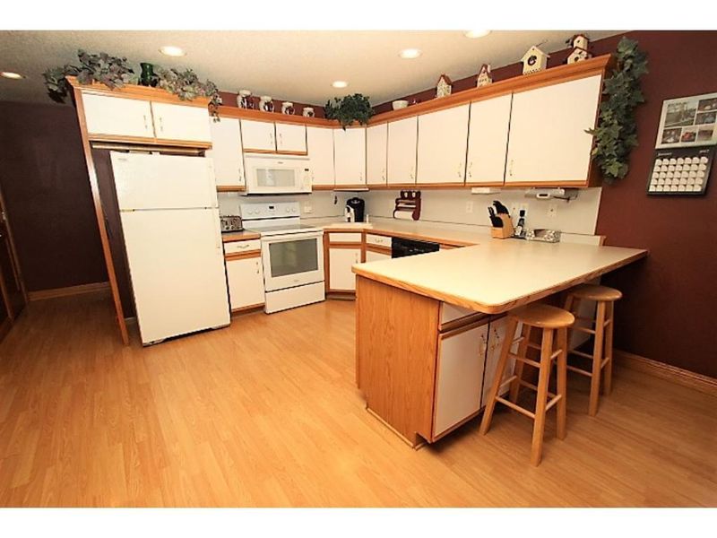17209 173rd Ave, Watkins, MN 55389