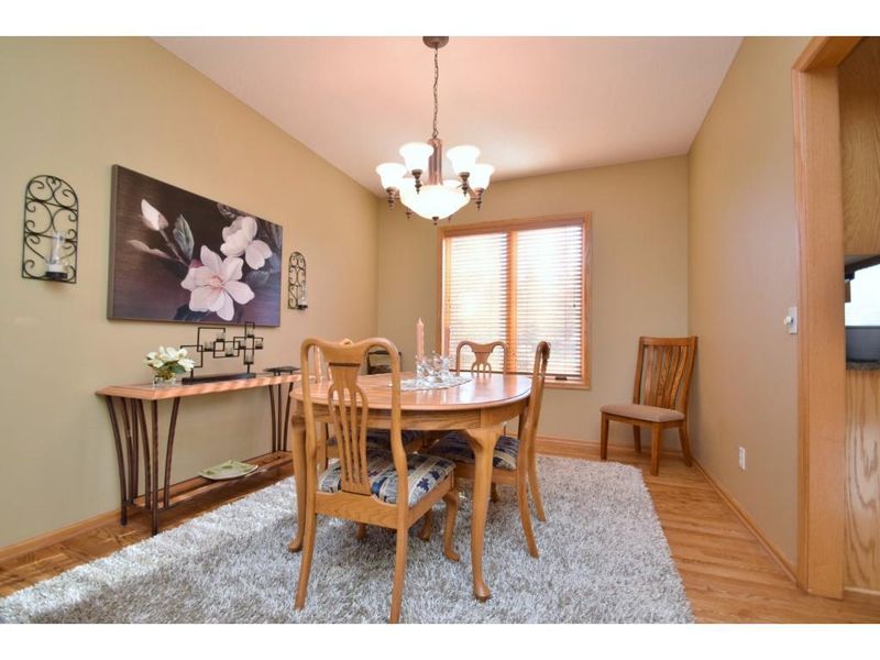 13250 Crusheen Ct, Rosemount, MN 55068