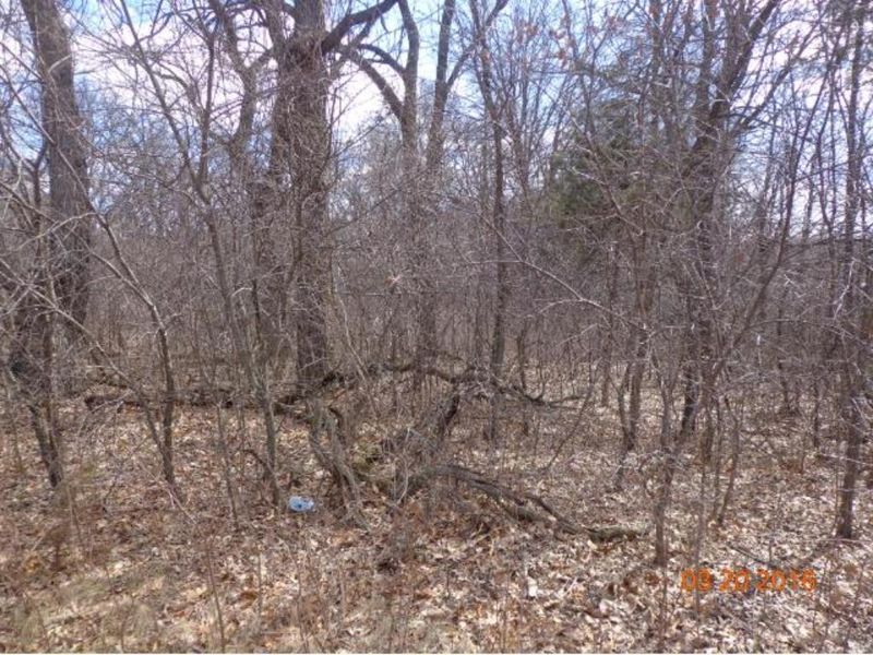 3378 156th Ave NW, Andover, MN 55304