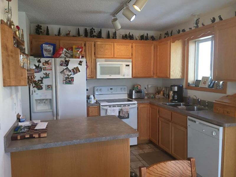 426 Emerson Ave N, Montrose, MN 55363