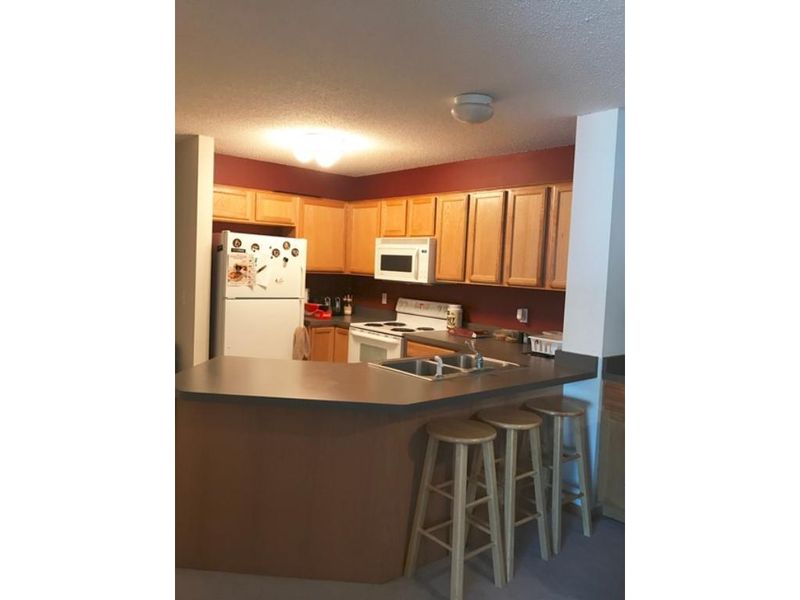 17334 River Birch Ln, Prior Lake, MN 55372