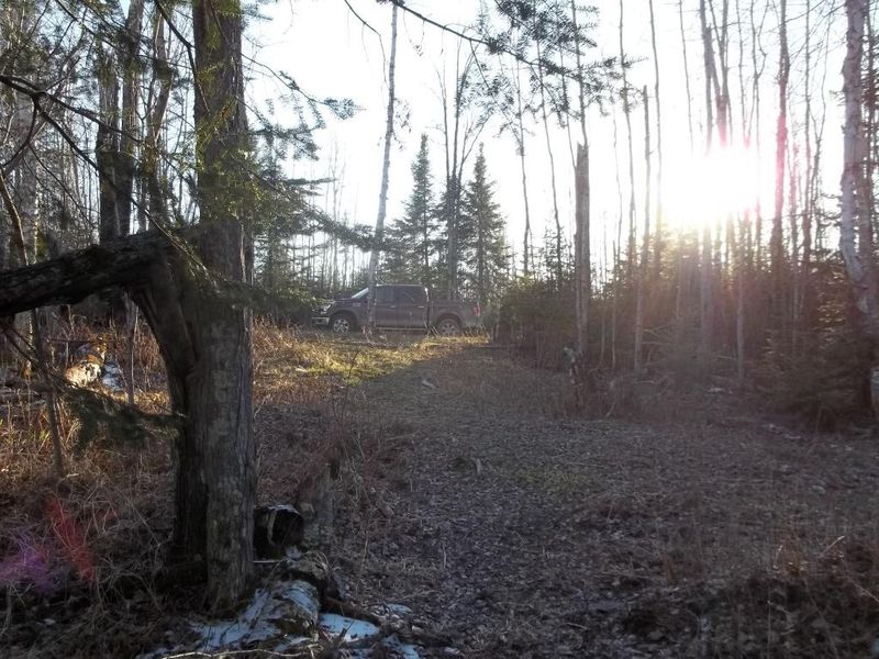 TBD County Road 603, Nashwauk, MN 55769