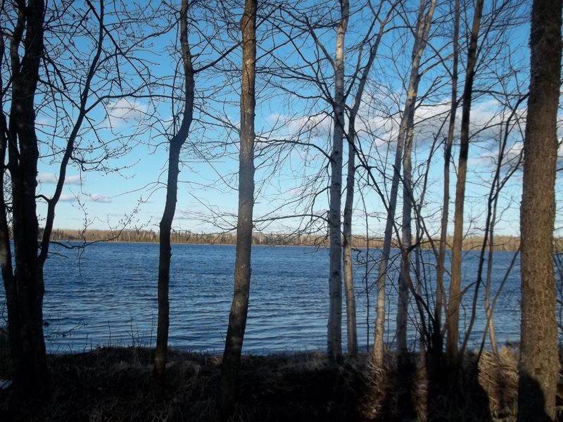 TBD County Road 603, Nashwauk, MN 55769