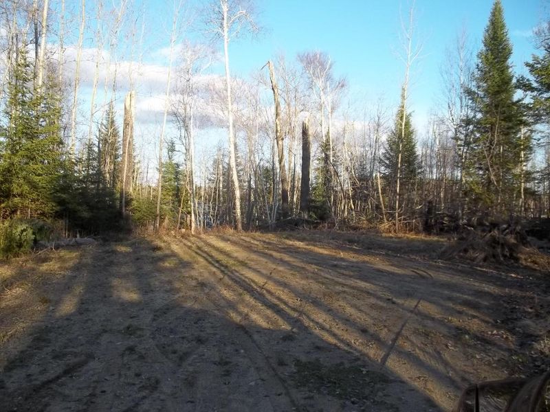 TBD County Road 603, Nashwauk, MN 55769