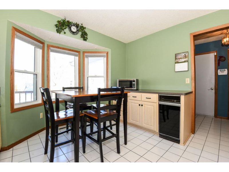 1534 Roosevelt St, Anoka, MN 55303