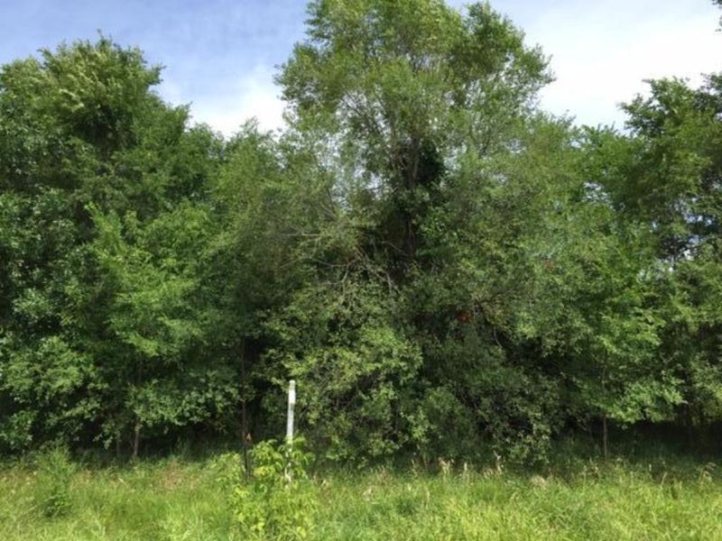 63XX 232nd St W, Faribault, MN 55021