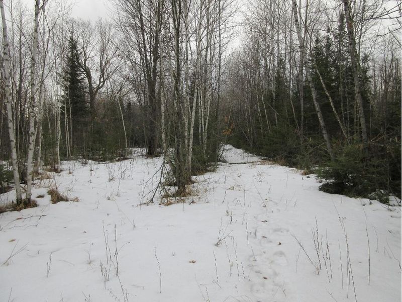XXX State Hwy 27, Mc Grath, MN 56350