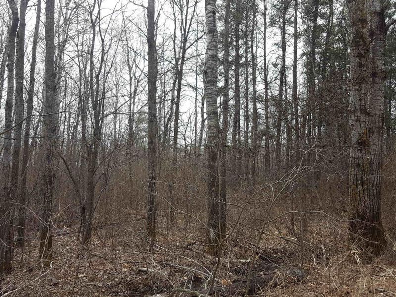 TBD 338th St, Sebeka, MN 56477