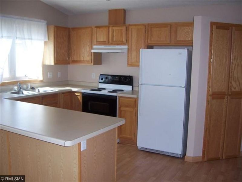 315 Sunfish Ct, Winsted, MN 55395