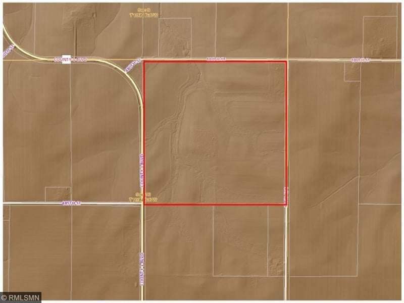 xxx County Rd #1, Kenyon, MN 55946