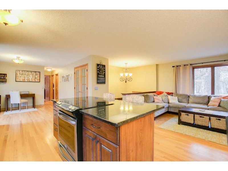 13379 Linwood Forest Cir, Champlin, MN 55316