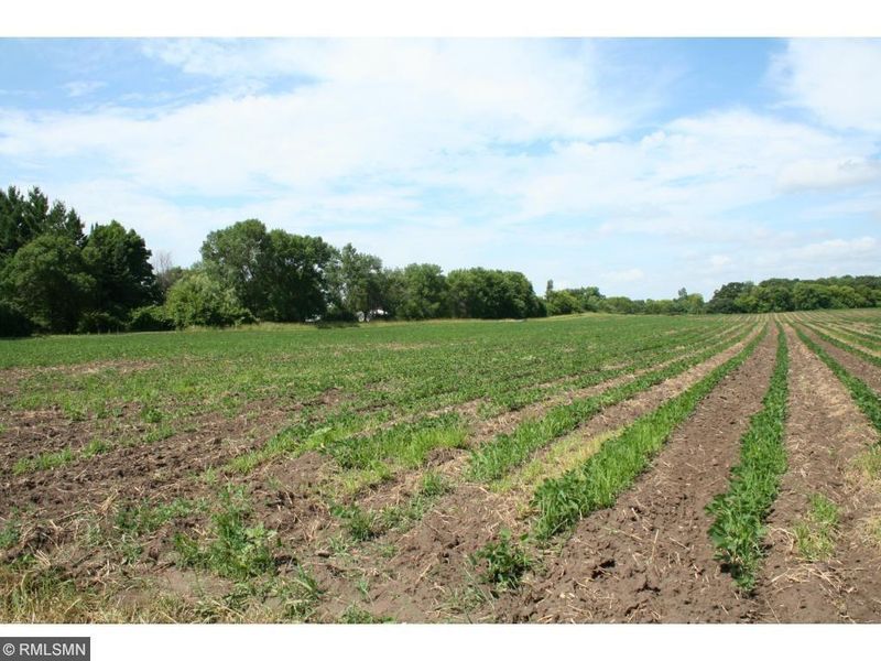 XXX Darrow Ave SE, Delano, MN 55328
