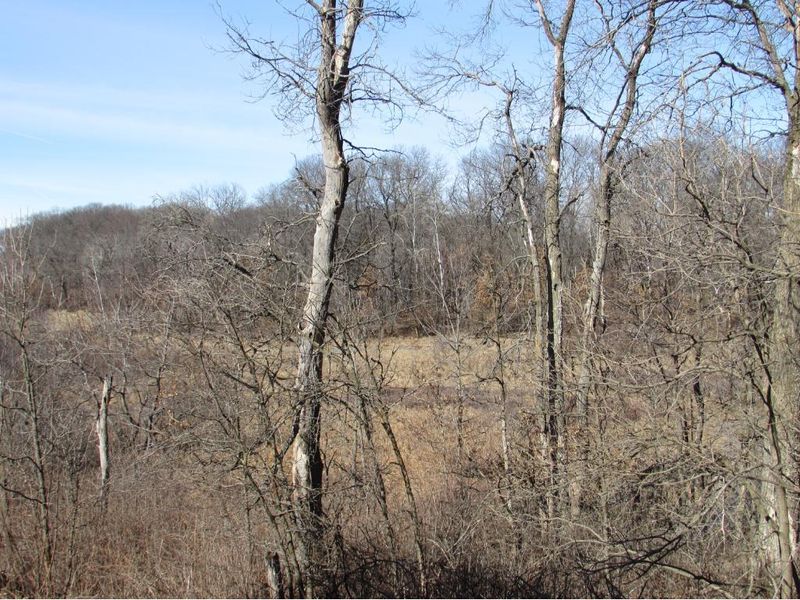 17126 94th St SE, Becker, MN 55308