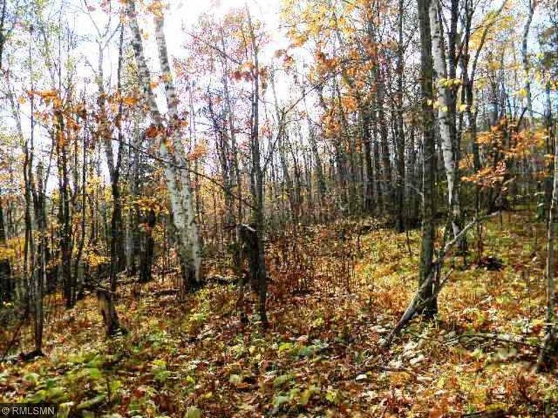 TBD Wabedo Pass Road Ne, Longville, MN 56655